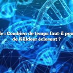 Réponse rapide : Combien de temps faut-il pour que les œufs de Killdeer éclosent ?